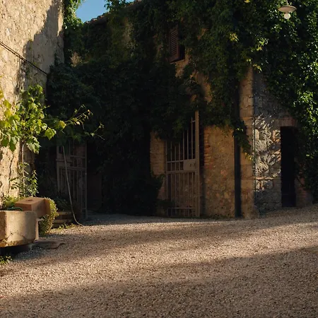 Fattoria San Donato-3